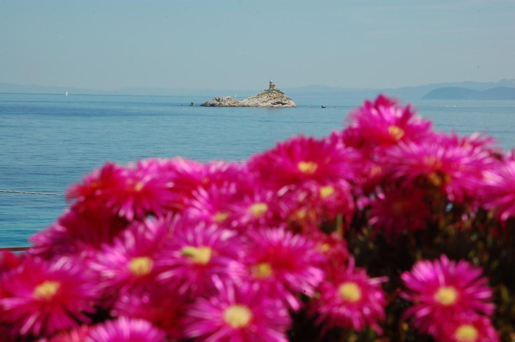 Hotel Villa Ombrosa Portoferraio Habitación foto